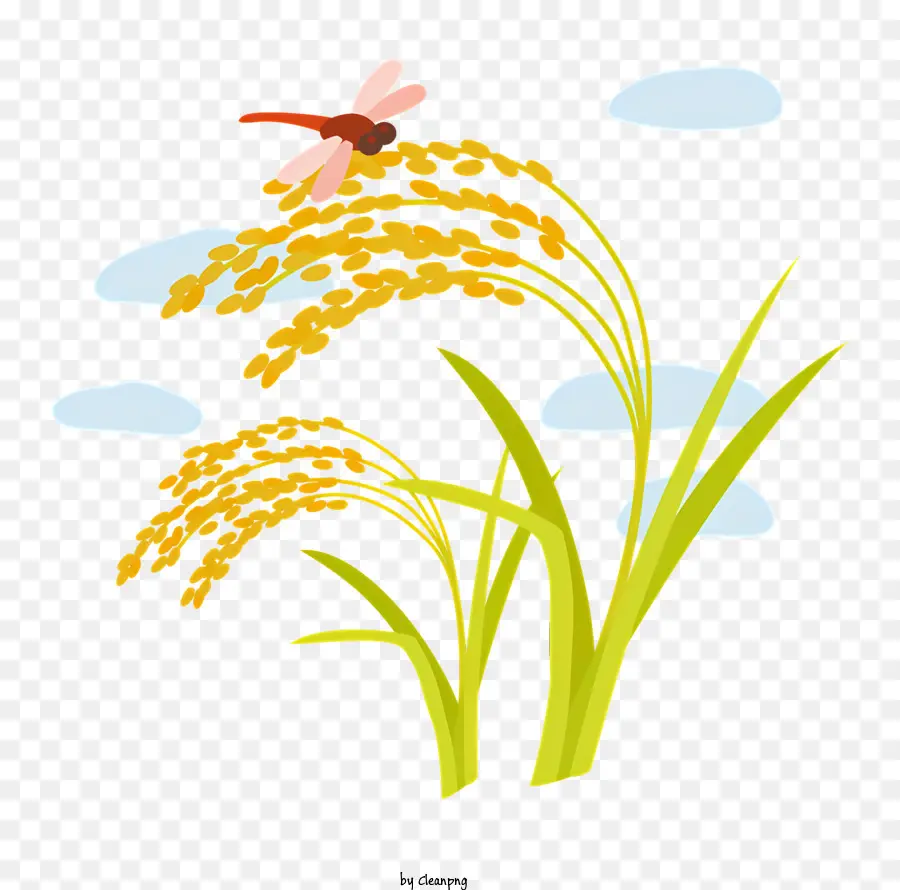 Libélula Roja，Campo De Arroz Con Arroz PNG