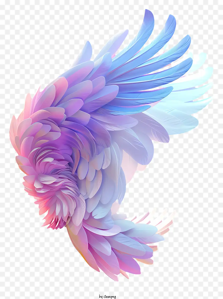 Alas De ángel，Pájaro De Colores PNG