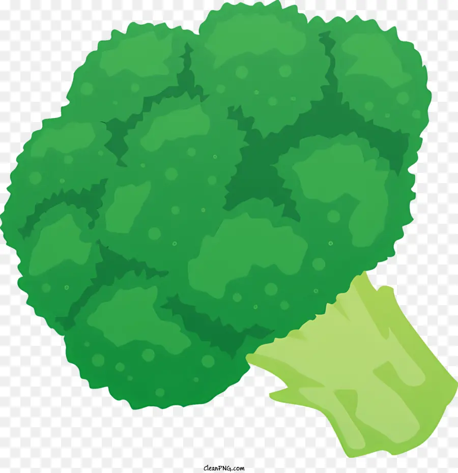 La Comida，Brócoli PNG