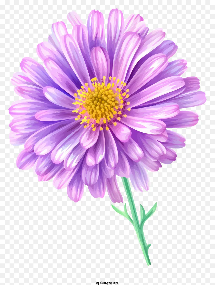 Elegante Icono De Flor De Aster，Flor Morada PNG