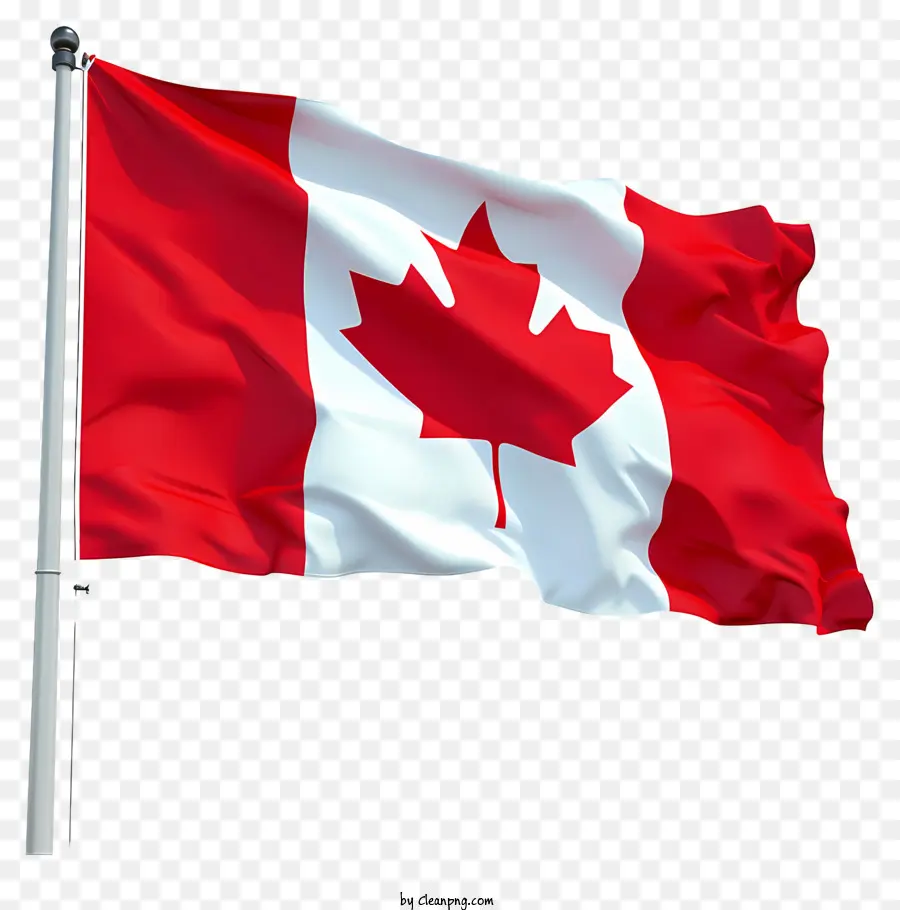 Día De La Bandera De Canadá，Canadá Bandera PNG