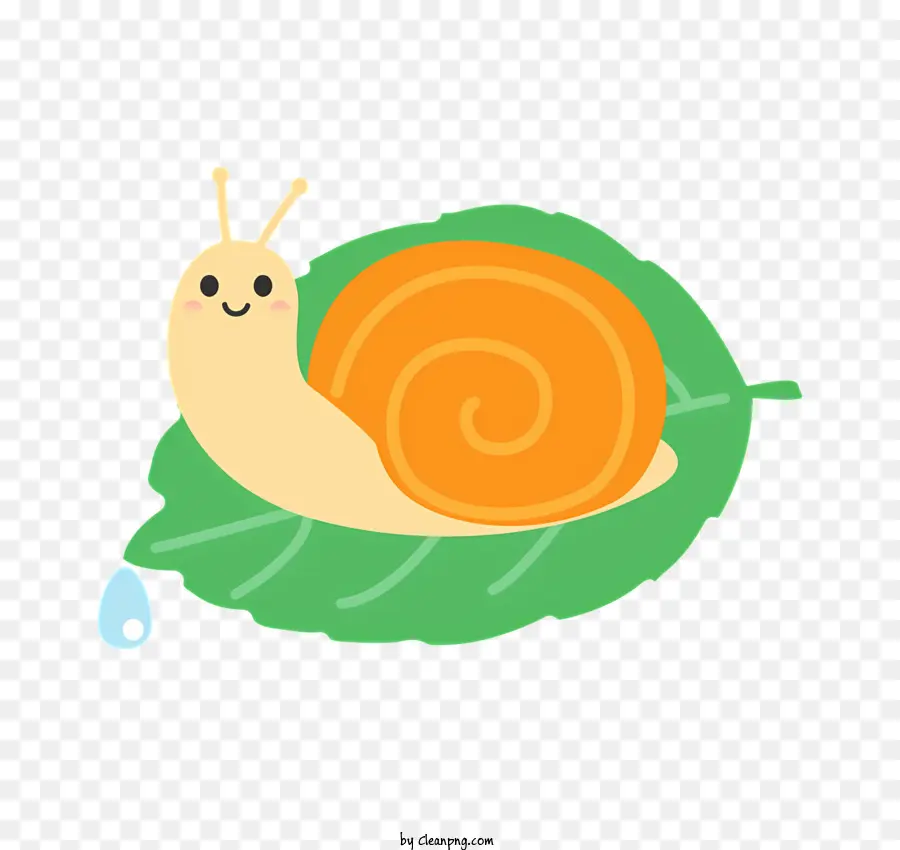 Caracol，Caparazón PNG