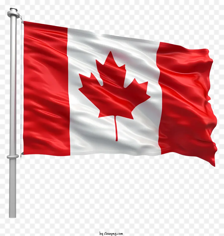 Día De La Bandera De Canadá，Canadá Bandera PNG