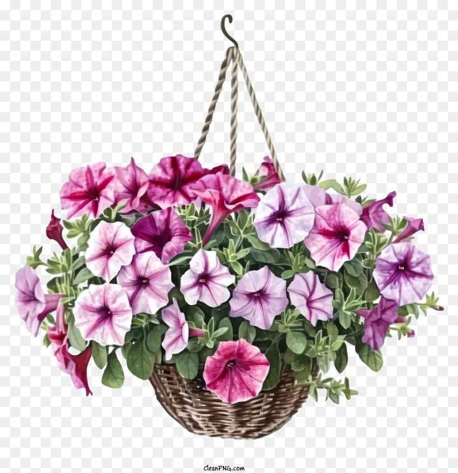 Elegante Icono De Canasta Colgante De Flores De Petunia，Cesta Colgante PNG