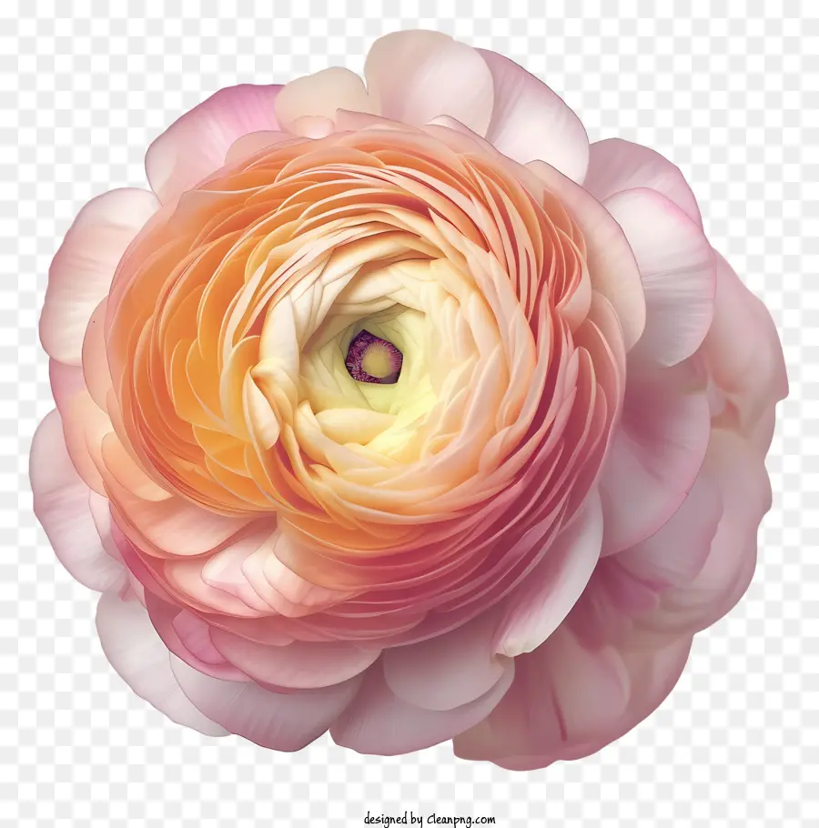 Al Estilo De Una Ilustración Romántica，Flor Rosa PNG