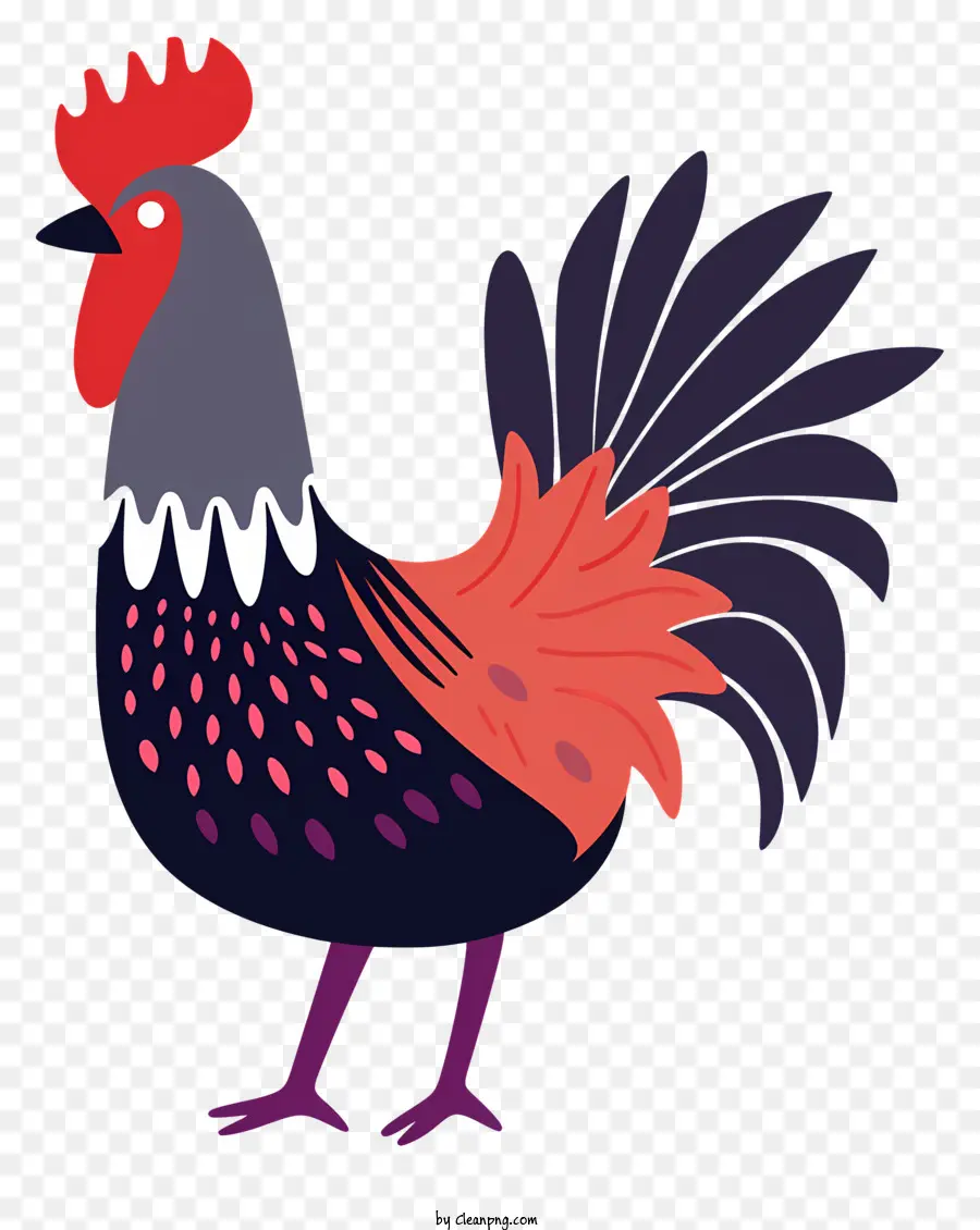 Gallo，De Dibujos Animados De Gallo PNG