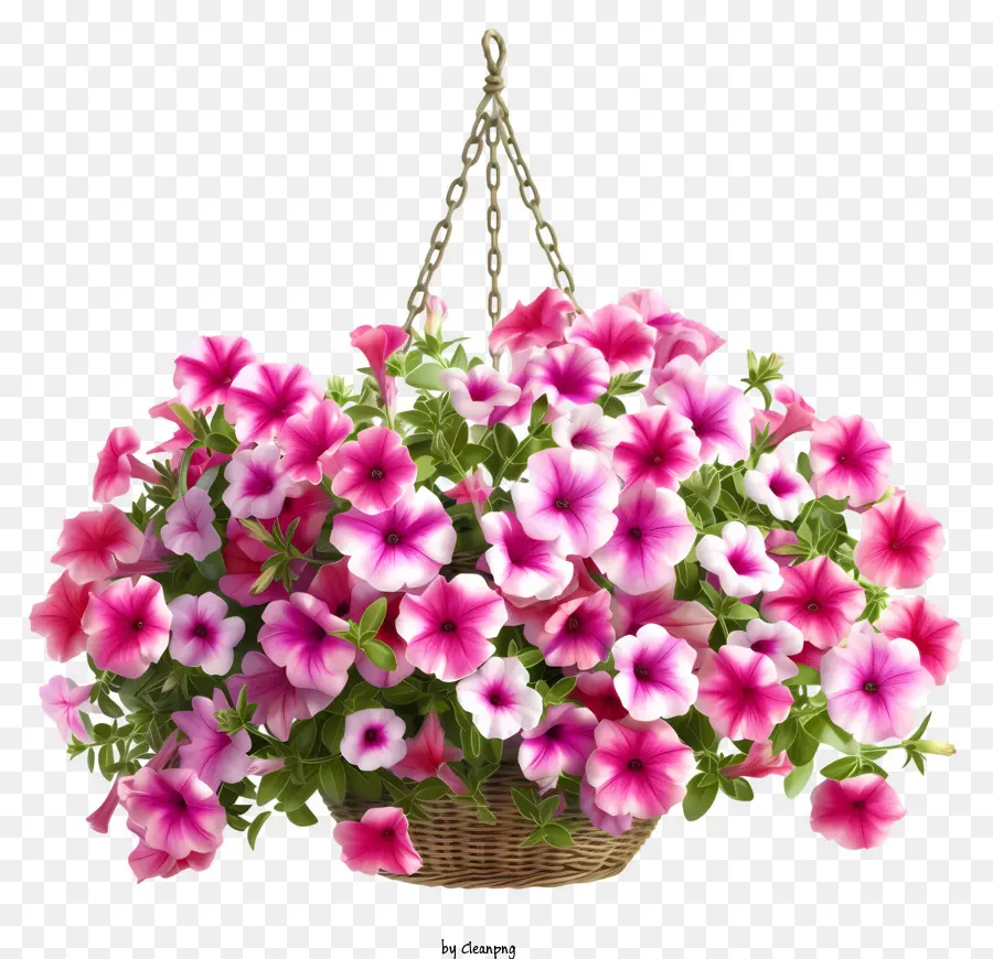 Elegante Petunia Flower Hanging Basket Vector 3d，Cesta De Flores PNG