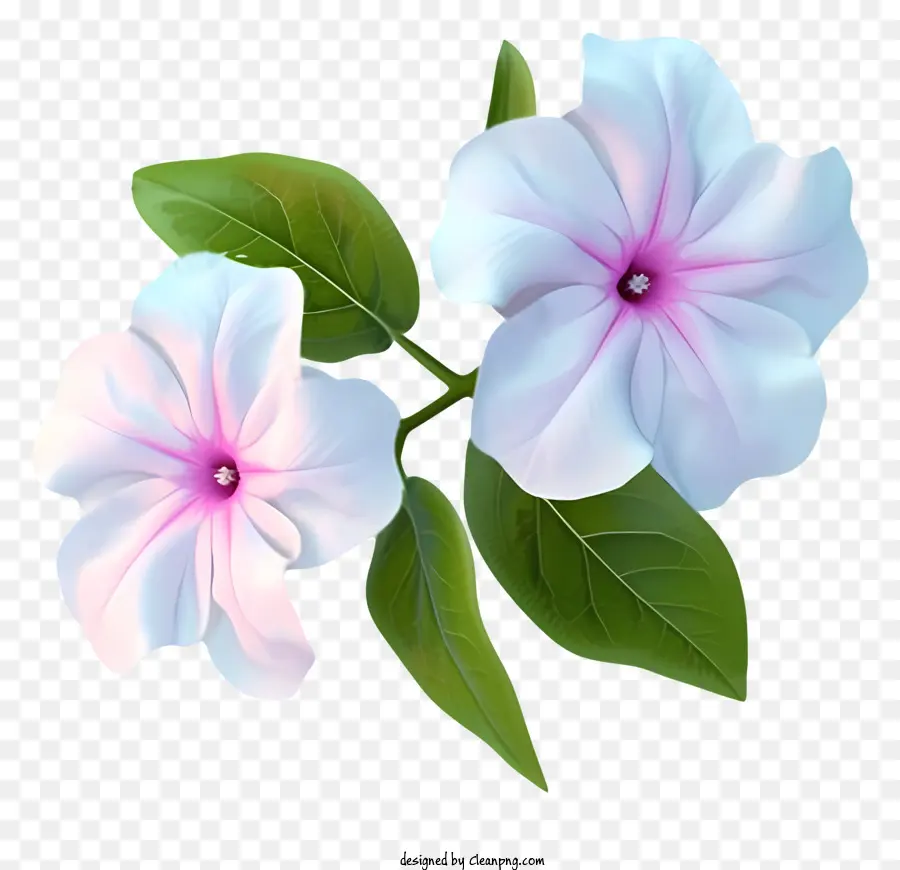Elegante Vector De Flores De Periwinkle 3d，Flores Blancas PNG