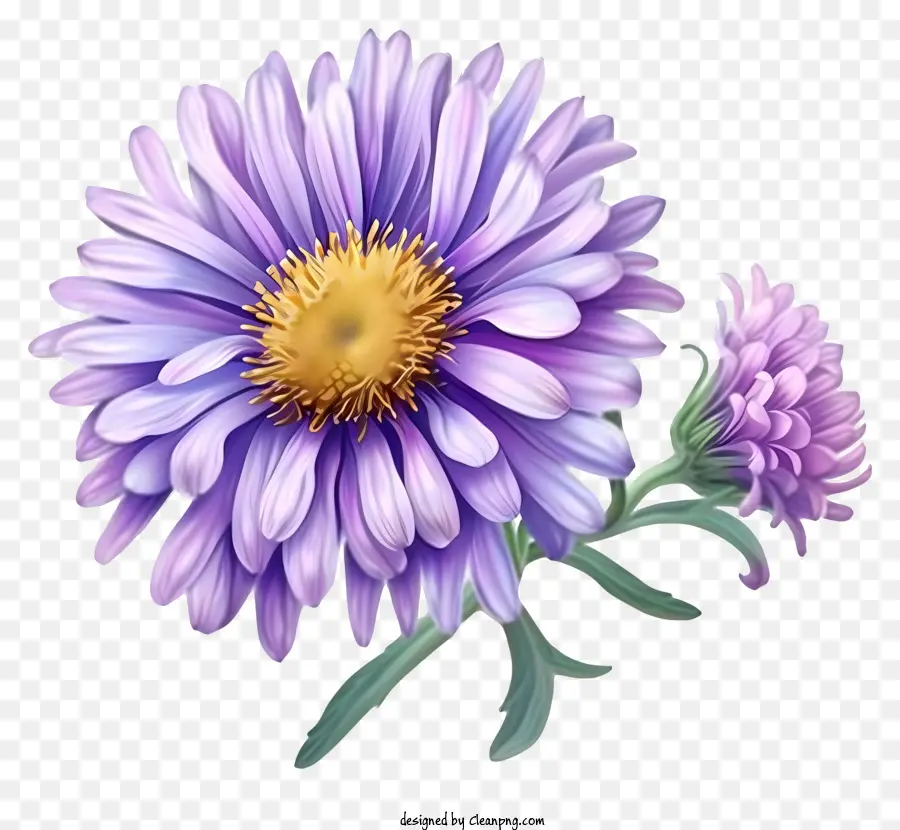 Elegante Aster Flower Vector 3d，Flor Morada PNG