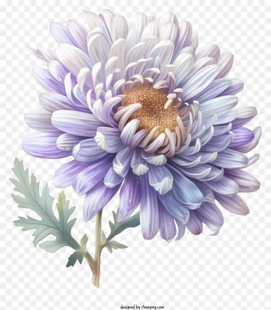 Flor De Aster Elegante Realista，Flor Morada PNG