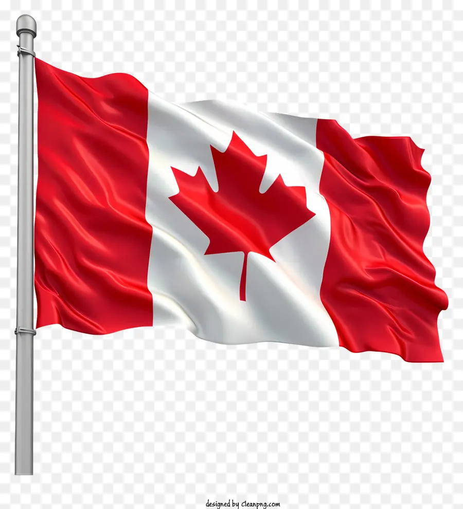 Día De La Bandera De Canadá，Bandera De Canadá PNG