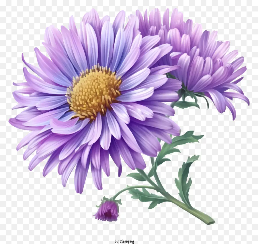 Elegante Aster Flower Vector 3d，Púrpura De Crisantemo PNG