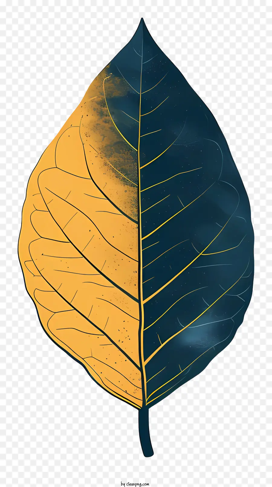 Hoja，Hoja Amarilla Y Azul PNG