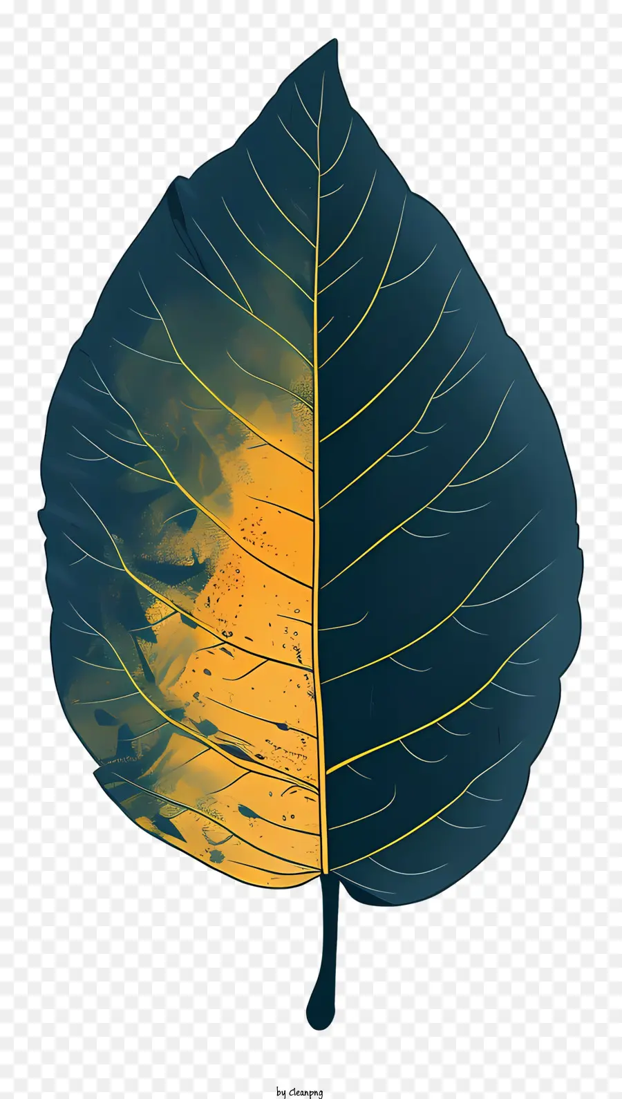 Hoja，Planta PNG