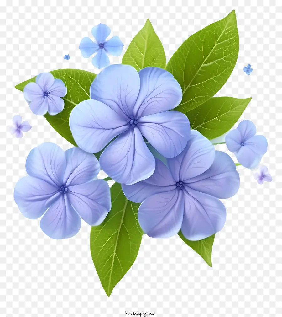 Flor Elegante De Periwinkle，Flores De Color Azul PNG