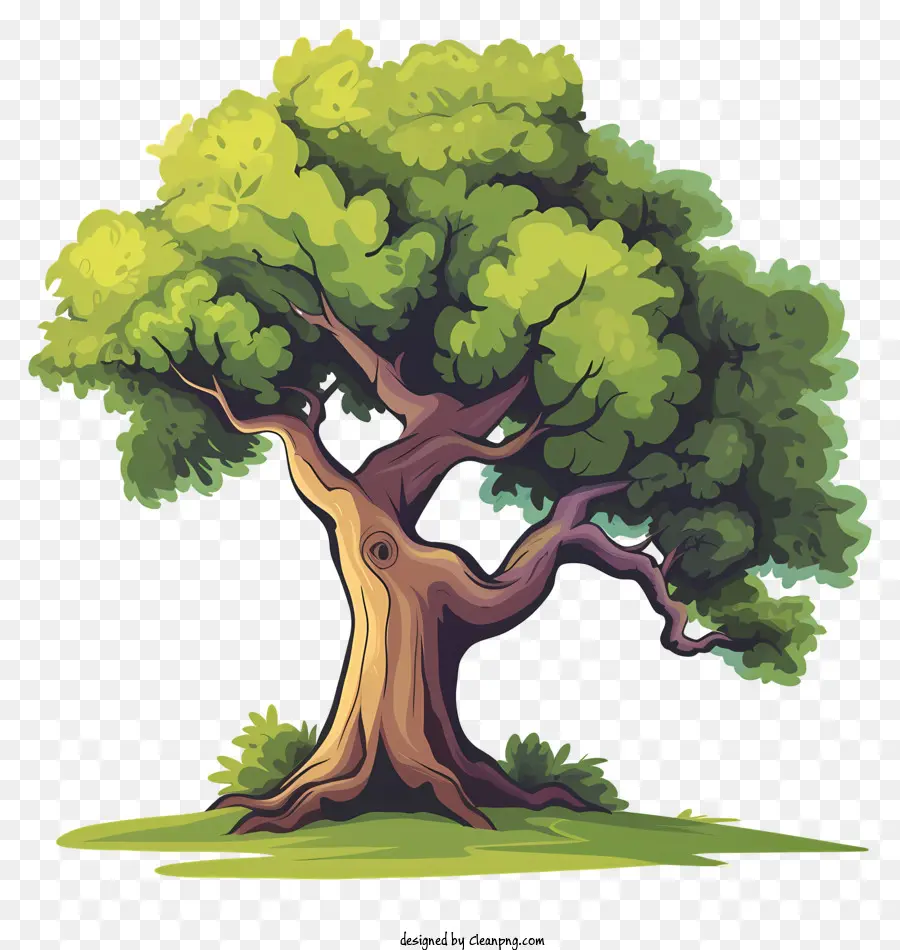 Árbol，Dibujos Animados De árbol PNG