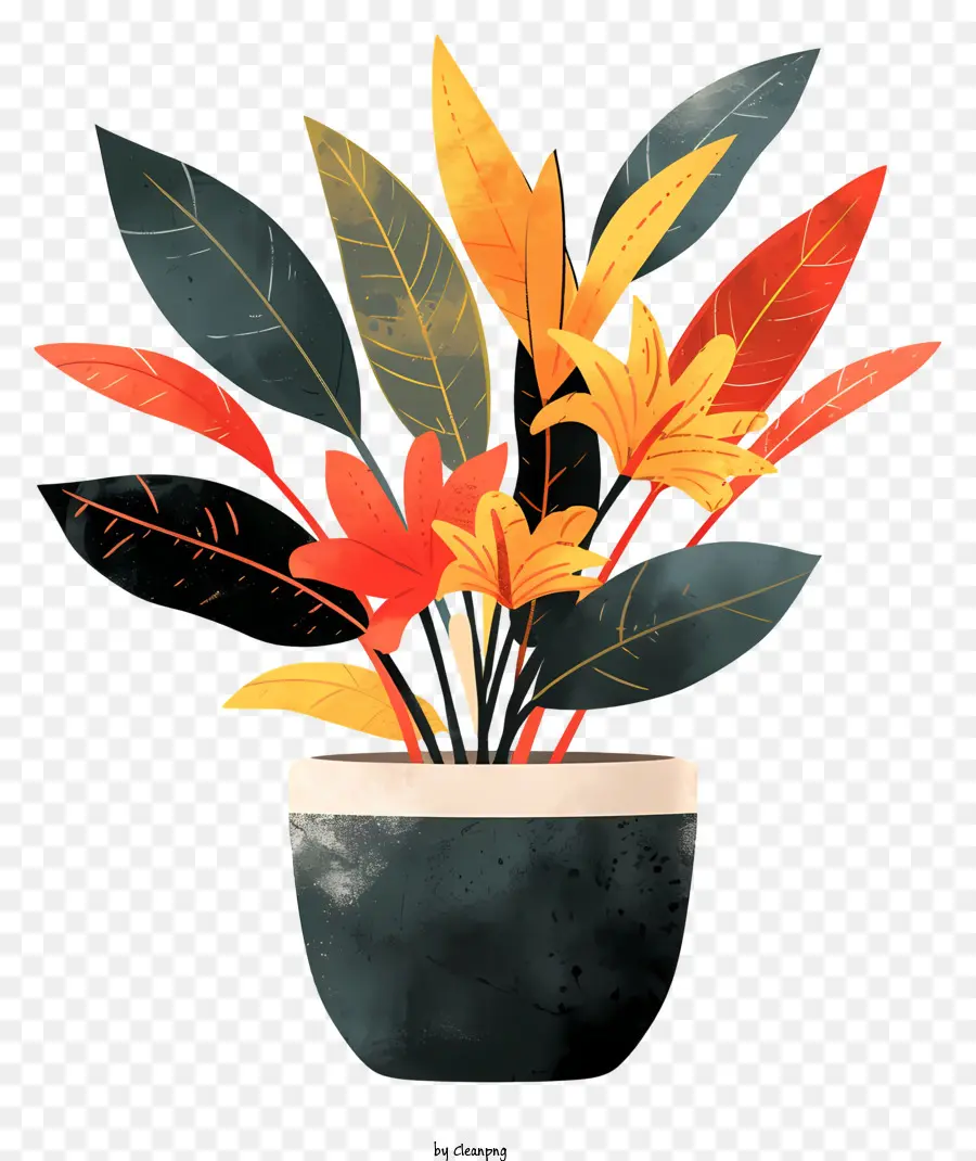 Maceta Moderna，Planta En Maceta PNG