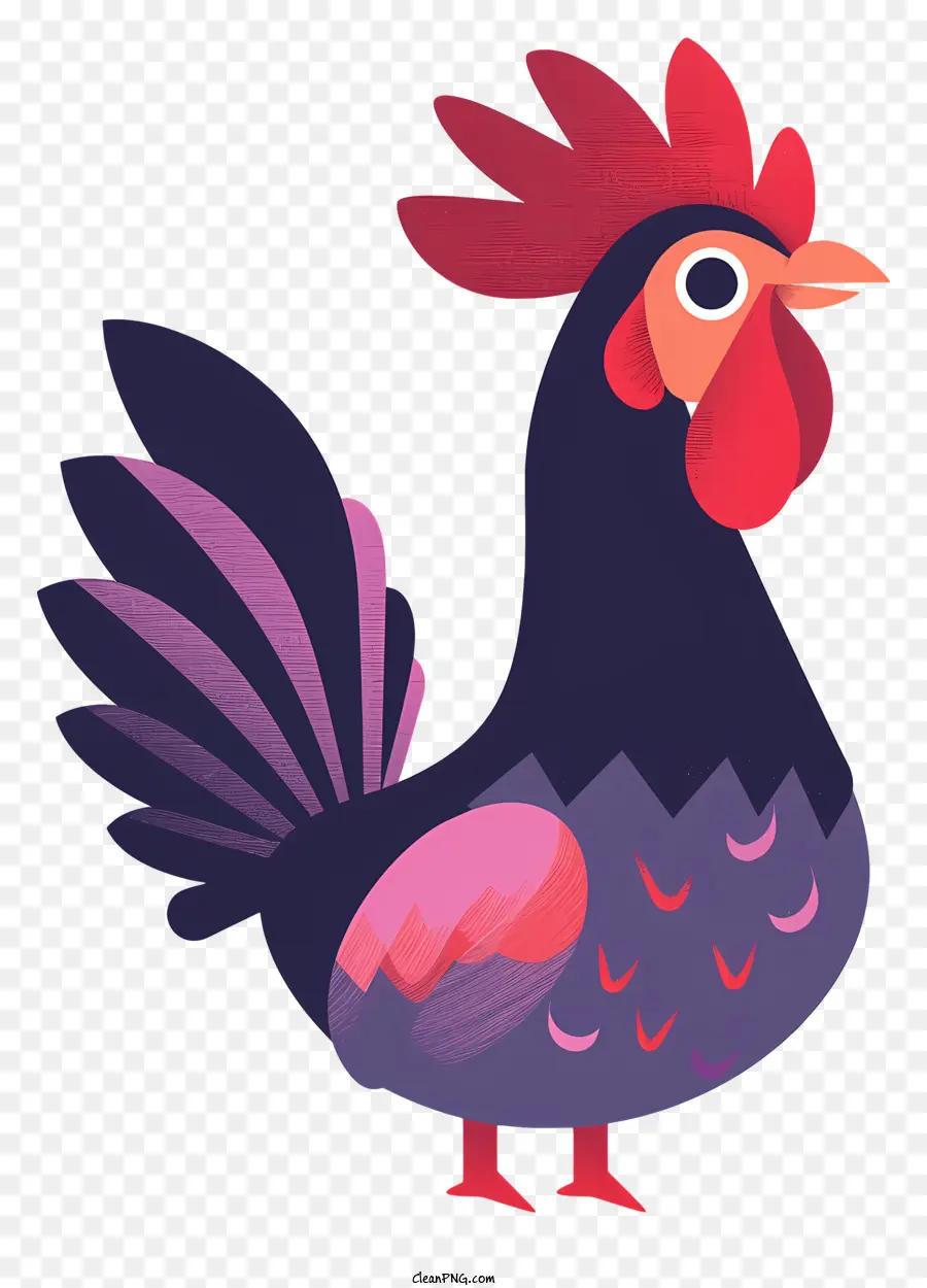 Gallo，Aves PNG