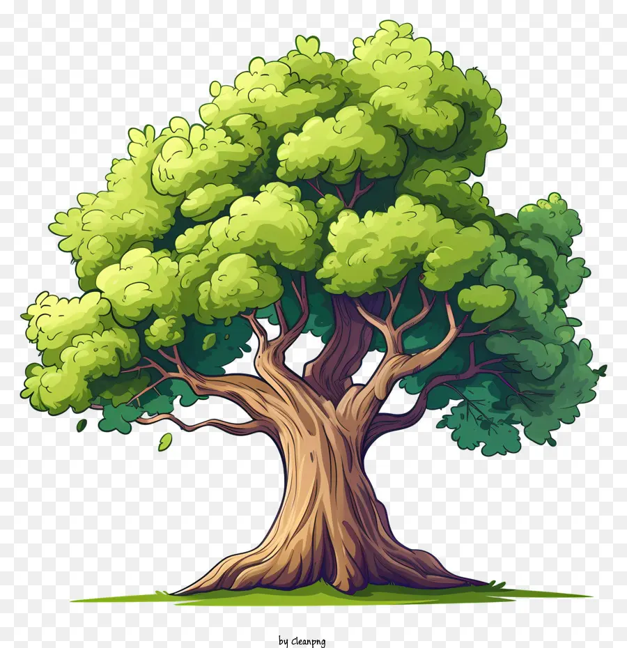 Árbol，Verde PNG