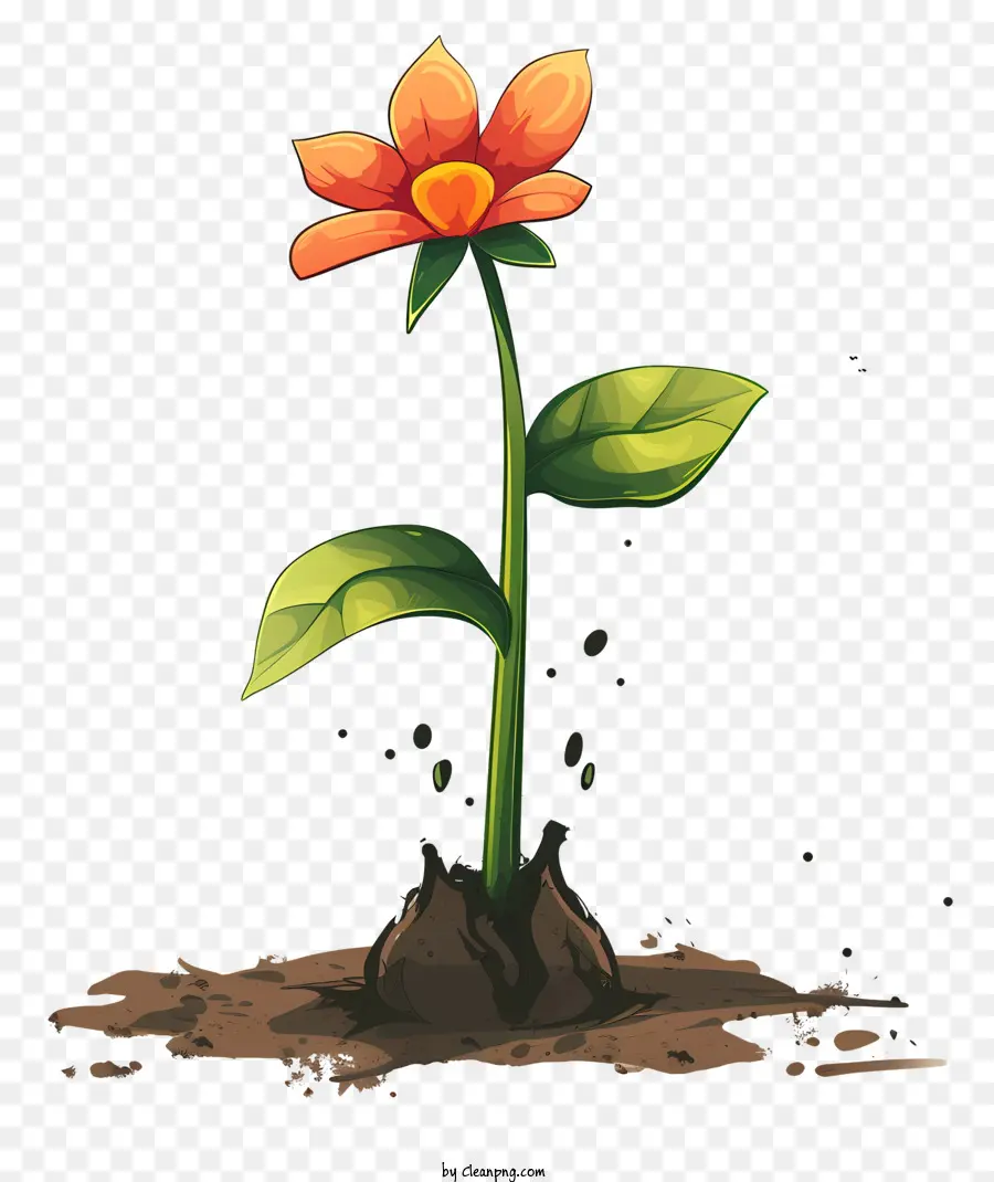 Plantar Un Día De Flores，Flor PNG