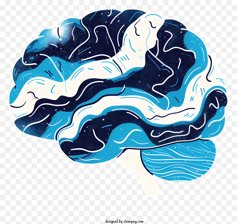 El Cerebro De La Mente，Cerebro PNG