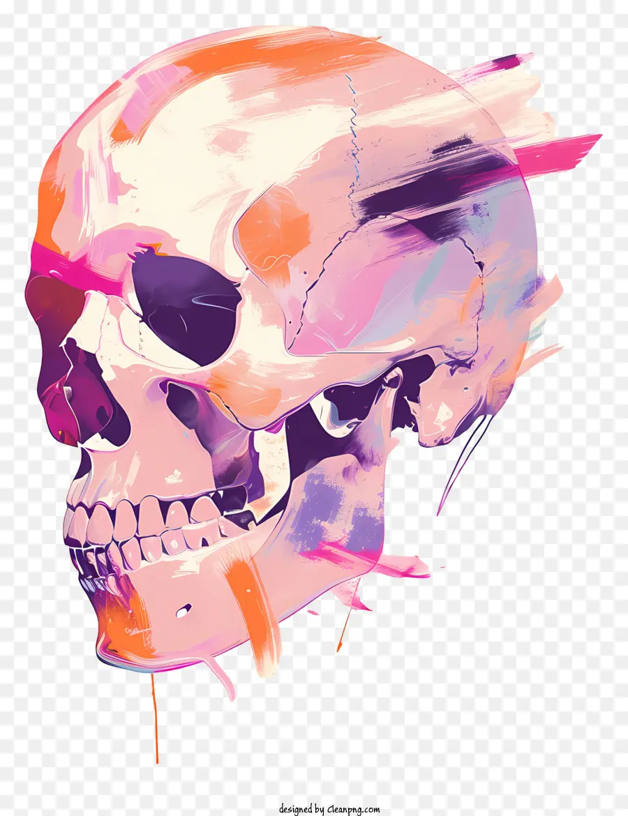 Calavera Colorida，Arte PNG