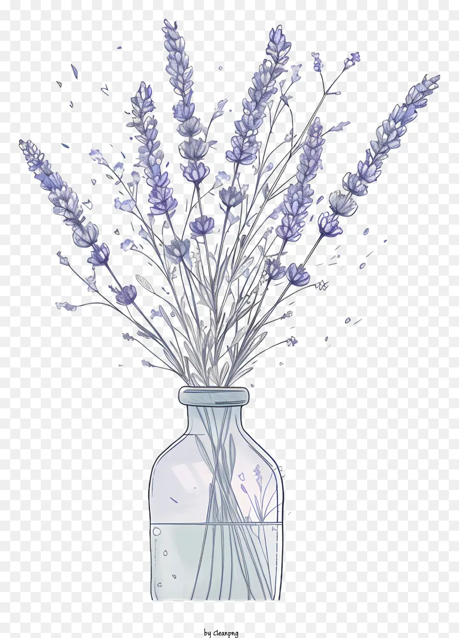 Lavanda En Jarrón，Pintura A La Acuarela PNG