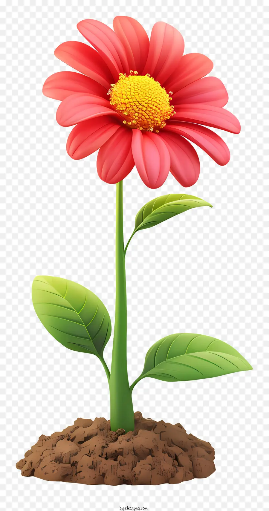 Plantar Un Día De Flores，Flor Rosa PNG