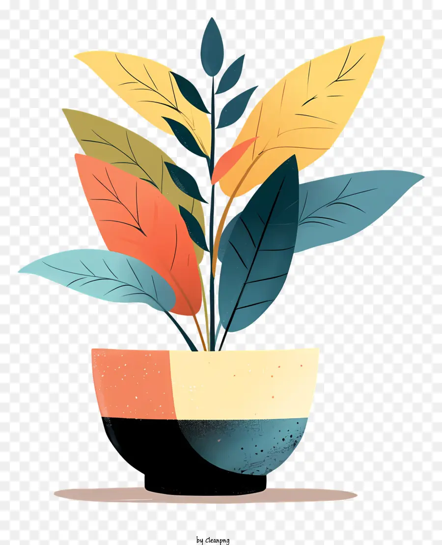 Maceta Moderna，Planta En Maceta PNG