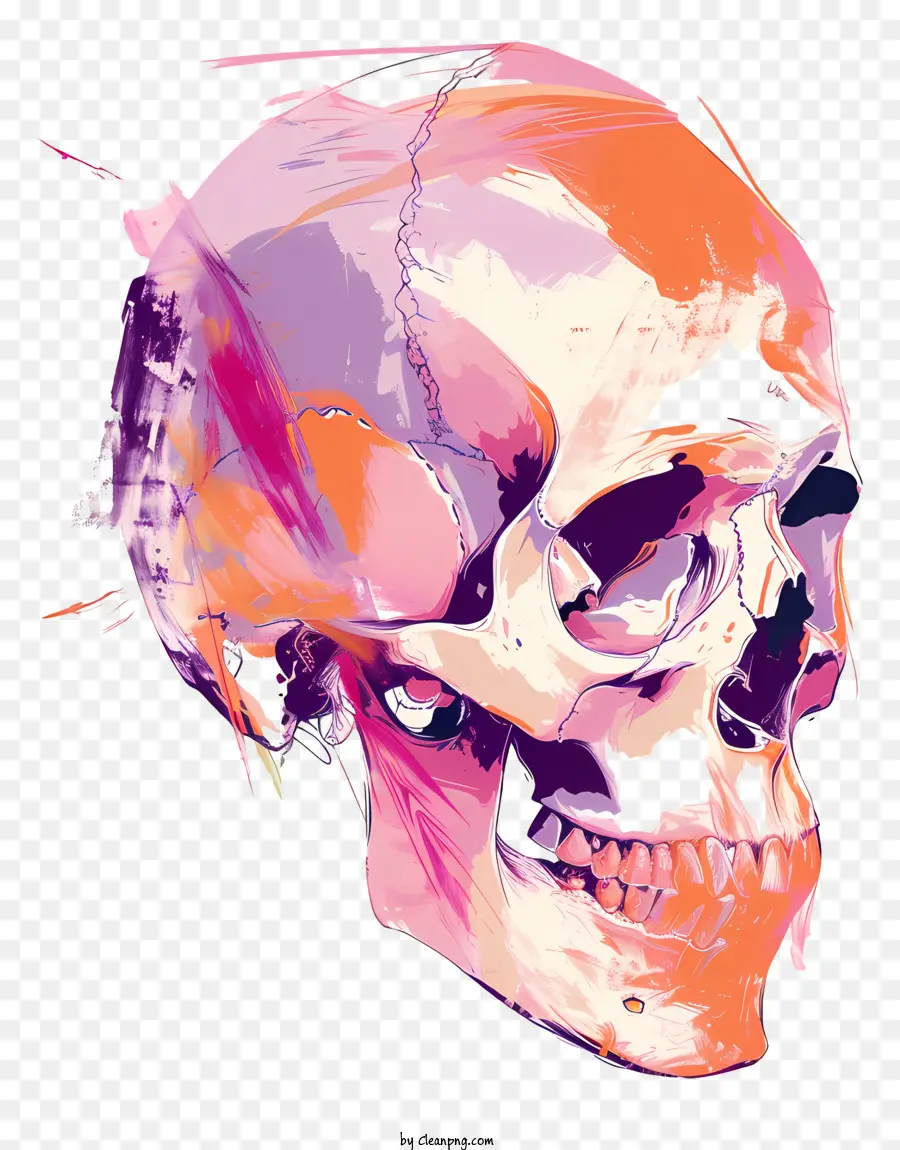 Calavera De Muerte，Cráneo PNG