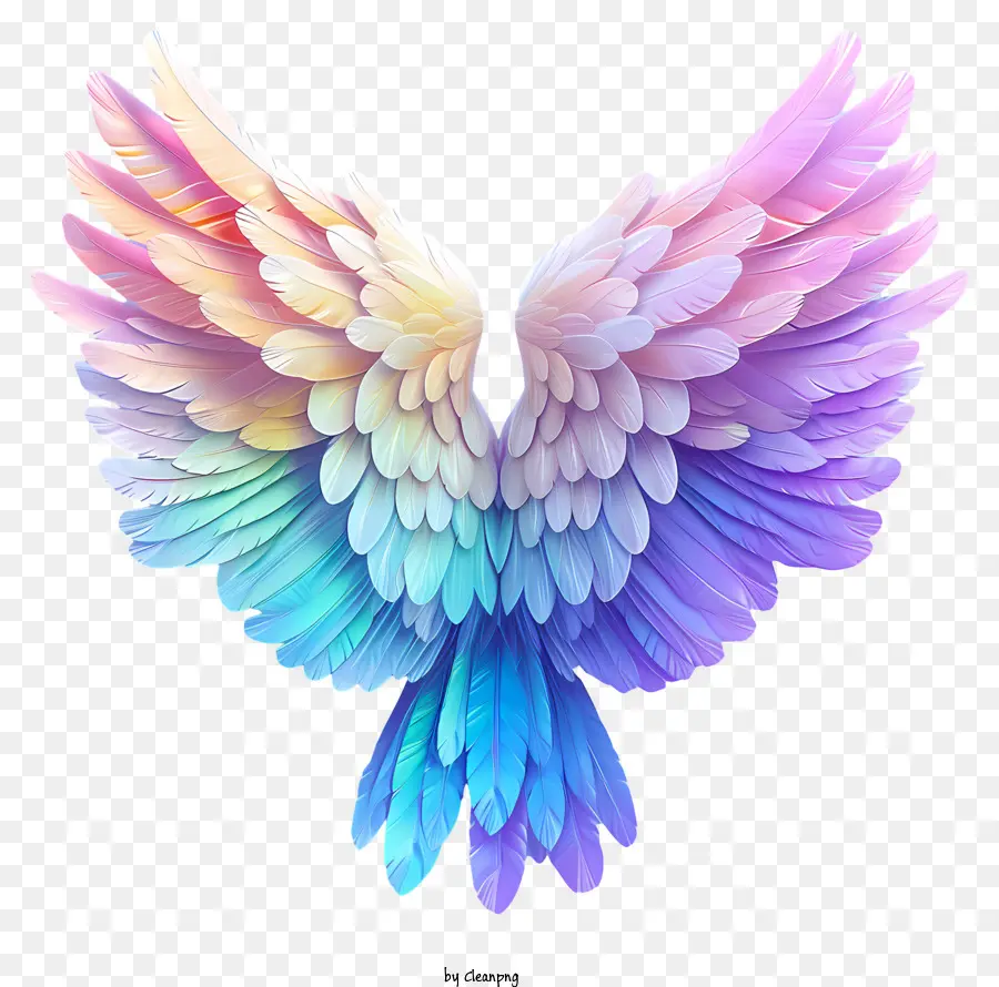 Alas De ángel，Pájaro De Colores PNG