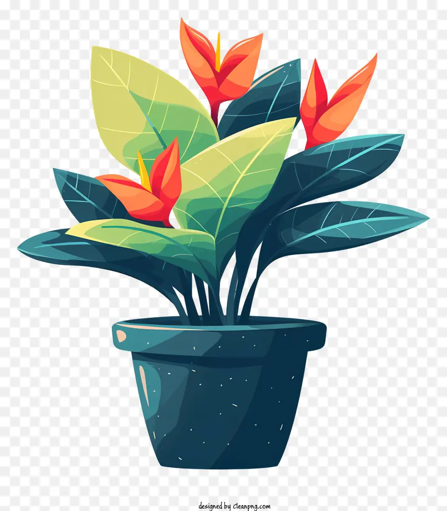 Moderna De La Maceta，Planta En Maceta PNG