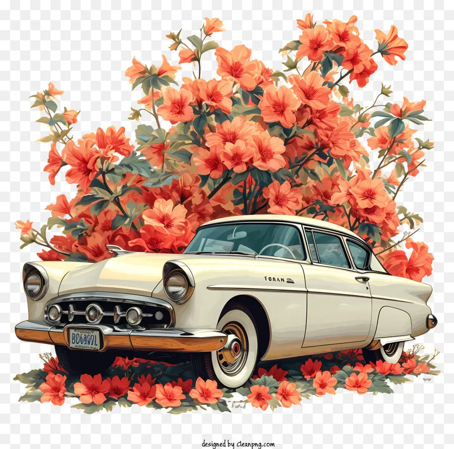 Coche Blanco，Coche Clásico PNG