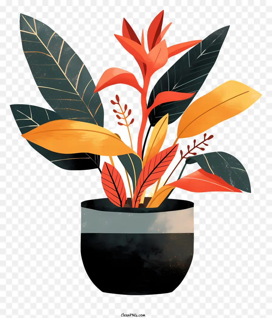 Moderna De La Maceta，Planta En Maceta PNG