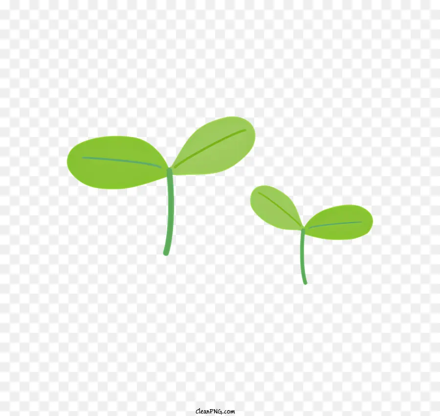 Brotar，Las Plantas Verdes PNG