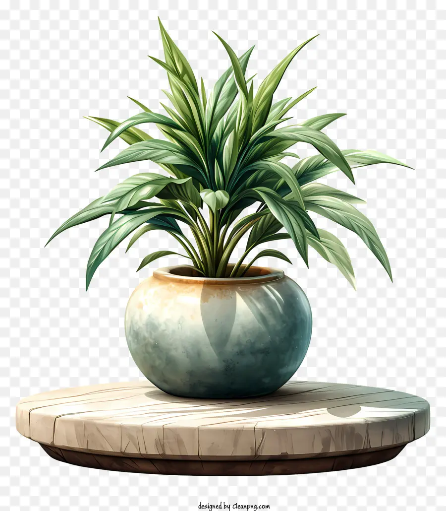 Planta，Planta En Maceta Verde PNG