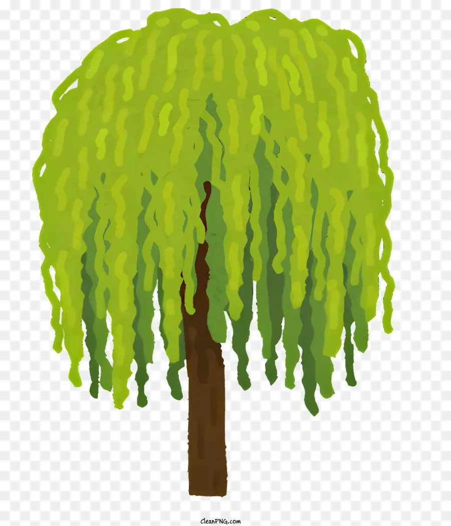 árbol，Sauce PNG