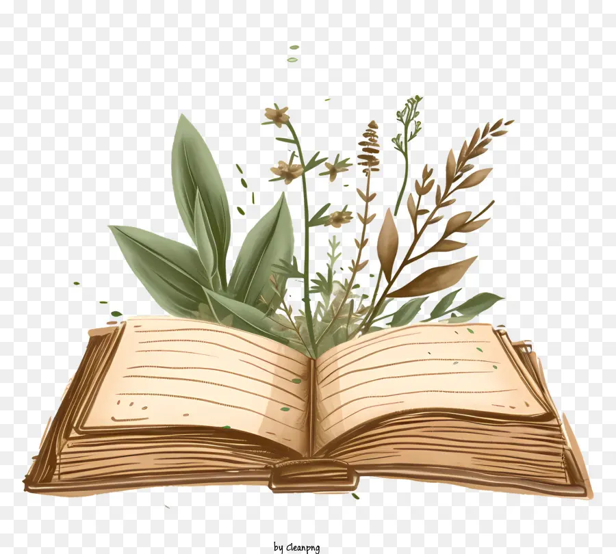 Libro Abierto，Libro Abierto Con Plantas PNG