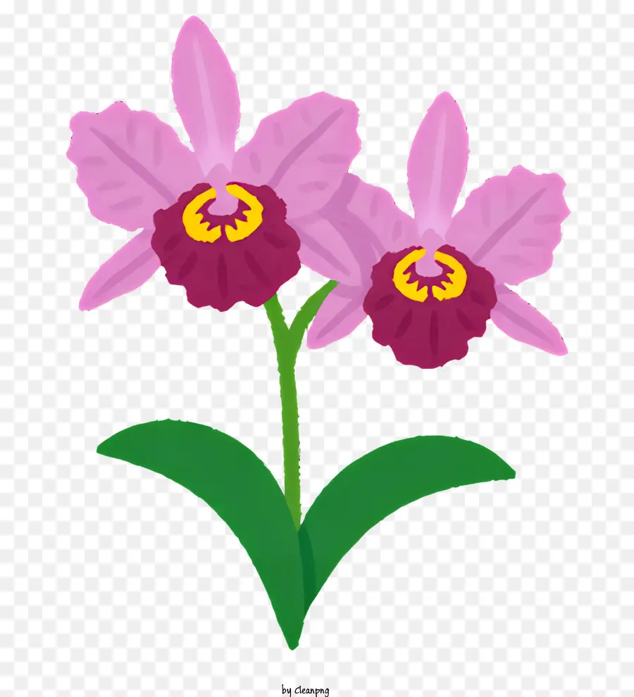 Flor，Flores De Color Rosa PNG