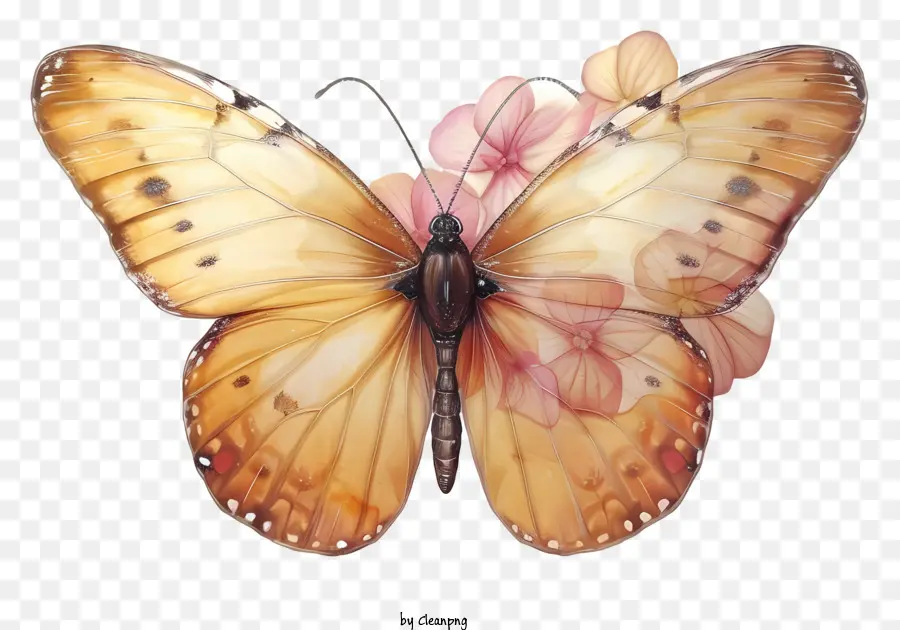 Mariposa Elegante Realista，Mariposa De Color Naranja PNG