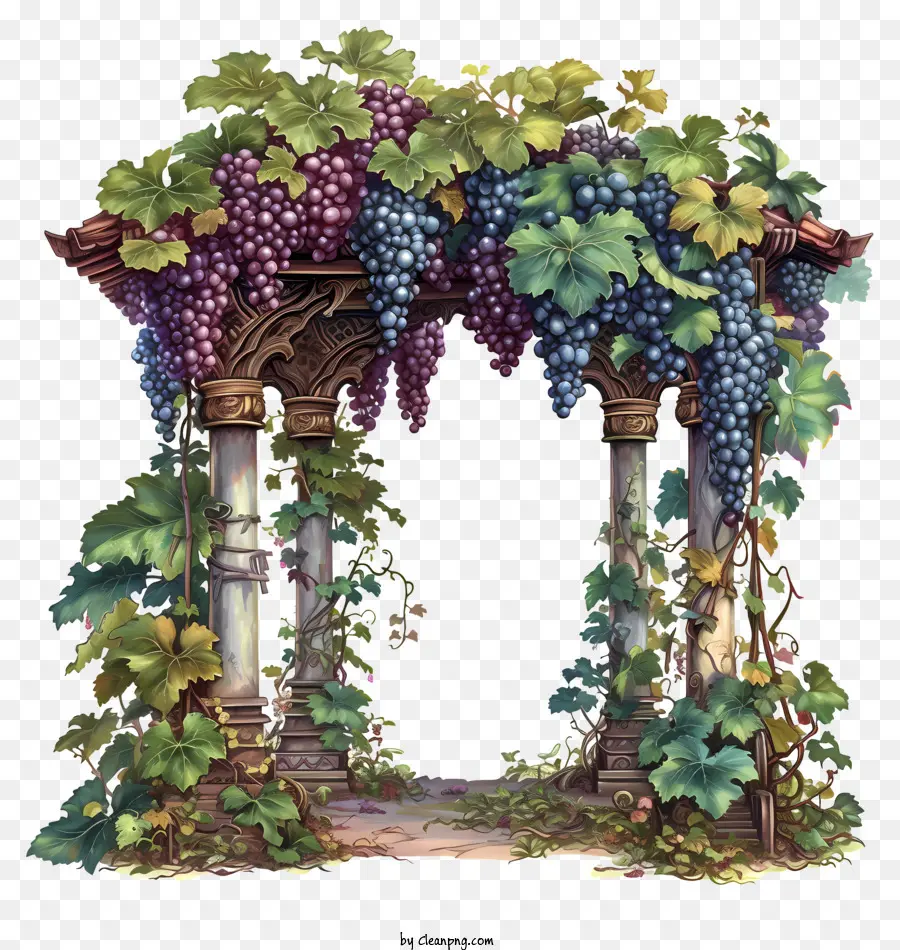 Granja De Uvas，Arco De Piedra PNG