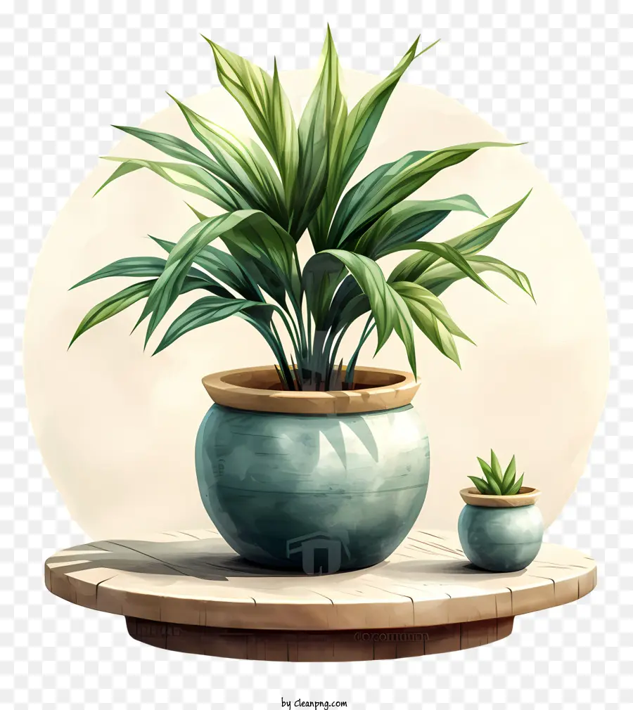 Planta，Planta Verde PNG