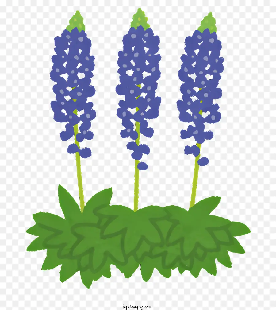 Flor，Flores De Color Púrpura PNG