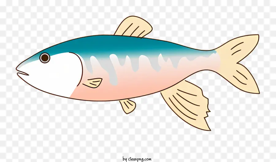 Los Peces，Los Peces De Agua Dulce PNG