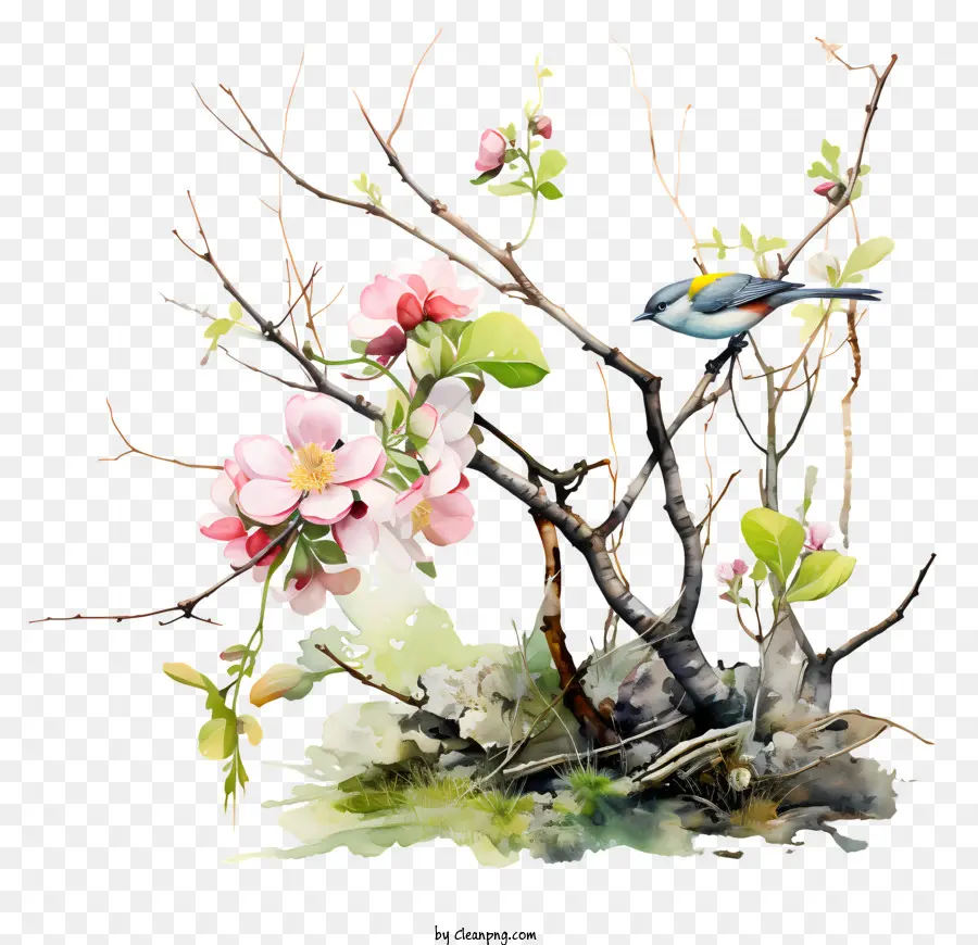 Comienza La Primavera，Pájaro Sentado En La Rama Del árbol PNG