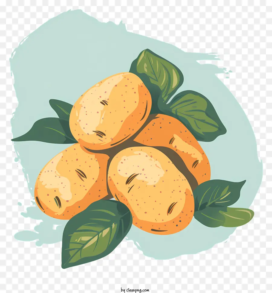 Patatas，Fresco PNG