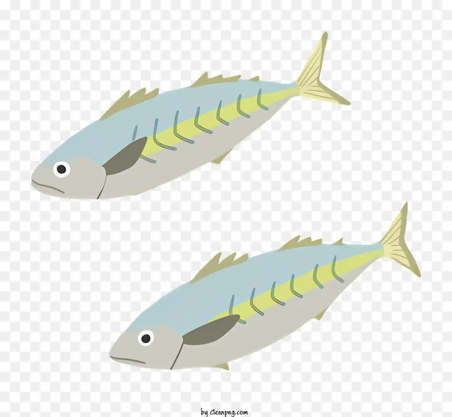 Los Peces，La Natación PNG