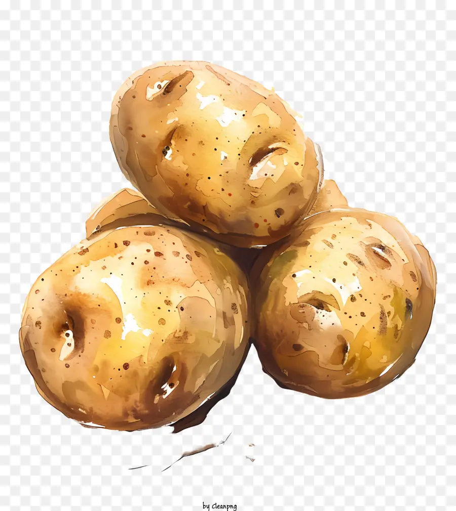 Patatas，Pintura A La Acuarela PNG