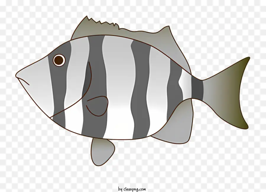 Los Peces，Dibujos Animados De Pescado PNG