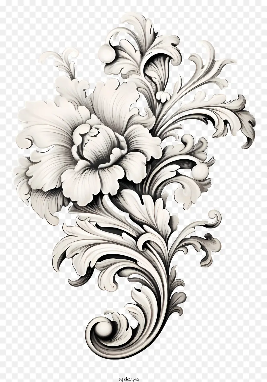 Diseño Floral，Flores Blancas PNG